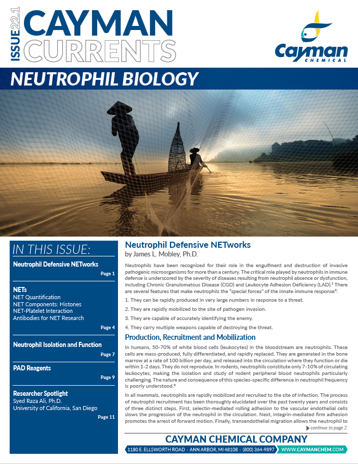 <p>​Cayman Currents Issue 22.1: Neutrophil Biology<br></p>