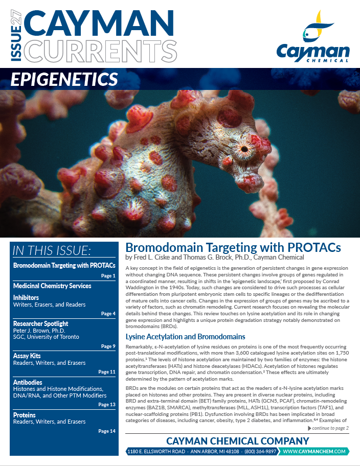 <p>​Cayman Currents Issue 27: Epigenetics<br></p>