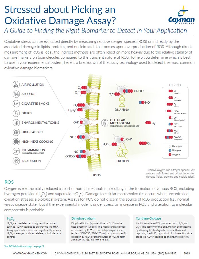 Stressed about Picking an Oxidative Damage Assay?<br>