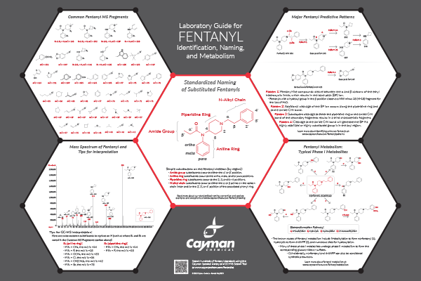 <p>Laboratory Guide for Fentanyl Identification, Naming, and Metabolism<br></p>