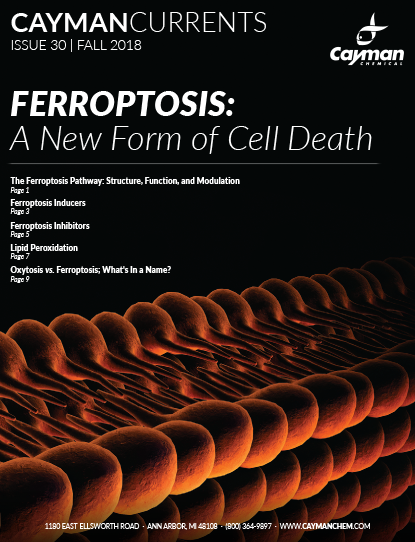 <p>​Cayman Currents Issue 30: Ferroptosis: A New Form of Cell Death<br></p>