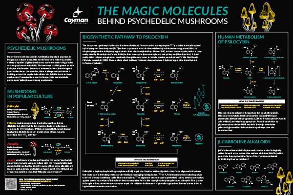 <p>​The Magic Molecules Behind Psychedelic Mushrooms<br></p>