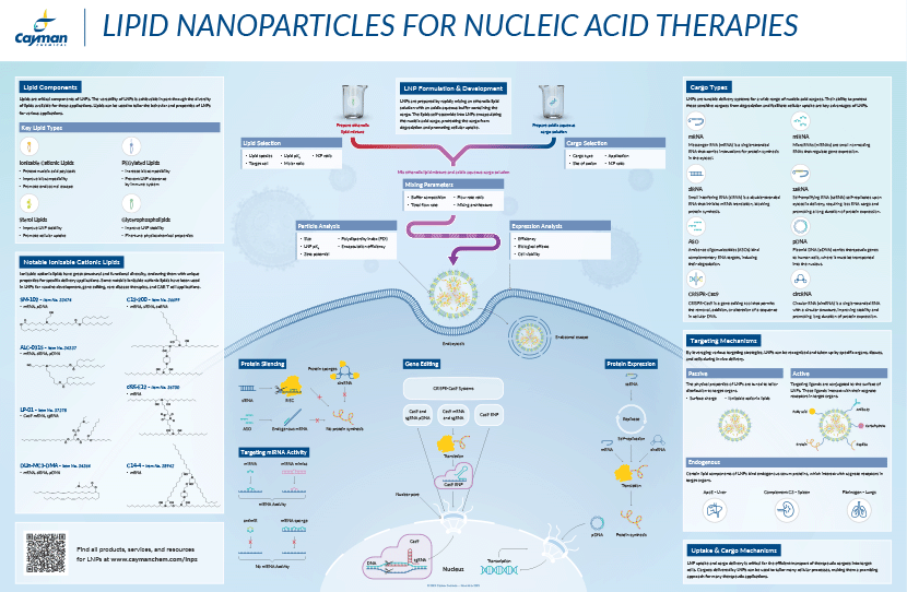 <p>​Lipid Nanoparticles for Nucleic Acid Therapies<br></p>
