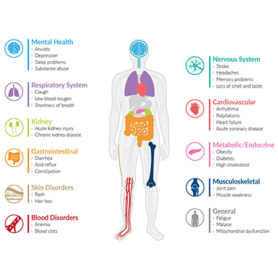 <p>​Long COVID Impacts<br></p>
