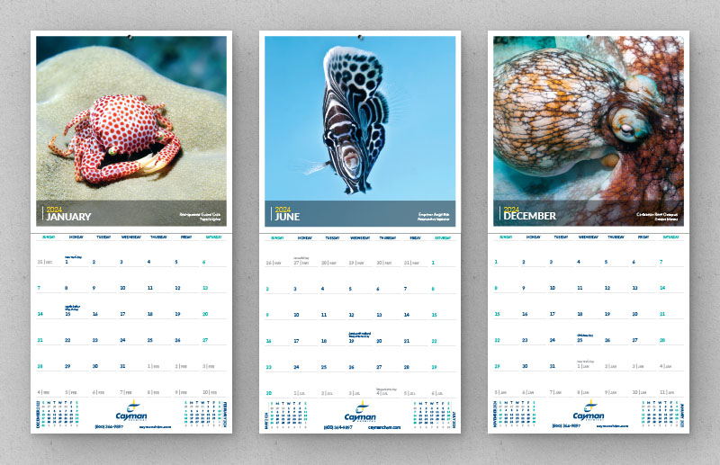 2024 Cayman Calendar | News & Announcements | Cayman Chemical