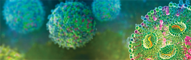 lipid nanoparticles