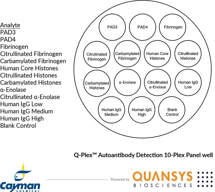502120 - Cayman Quansys.jpg