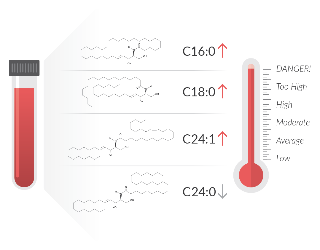 lipid c 18 1 a) Unsaturated 18:1 PC lipids studied in this work. (b) Measured Lipids