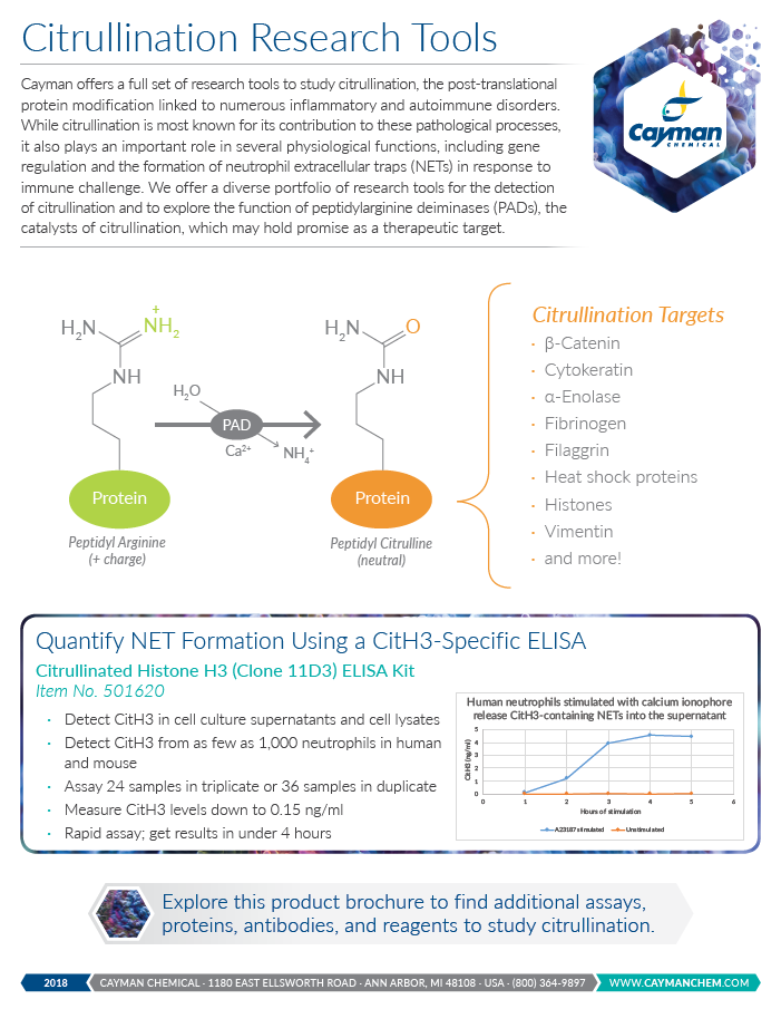 Citrullination Research Tools Brochure.png
