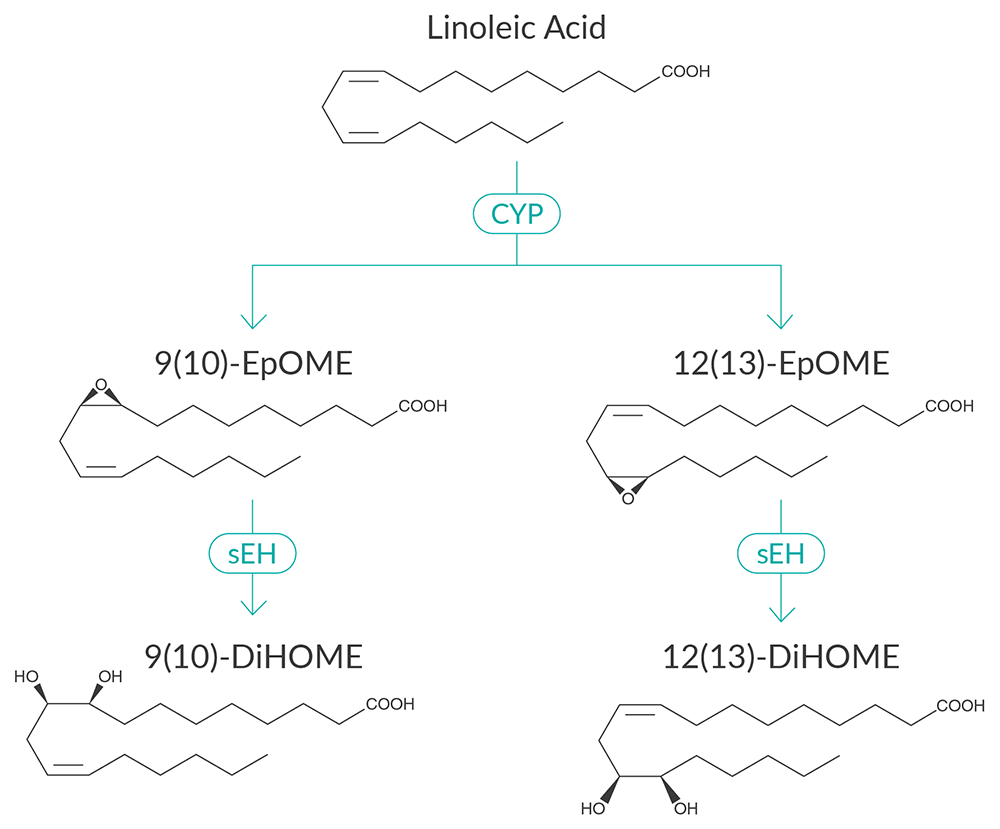 DiHOME Assays.png