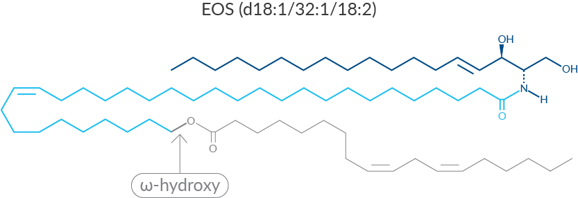 Figure 1. EOS structure.png