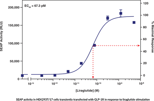 how long should you stay on glp 1 Is GLP-1 the Same as Ozempic? Rafael Olartecoechea