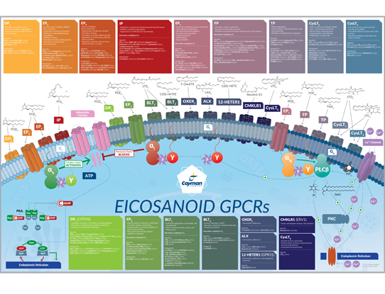 Eicosanoid GPCRs Poster