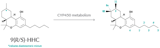 The Latest Research Insights on Hexahydrocannabinol Metabolism