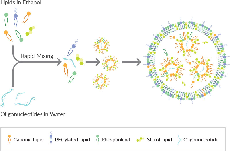 Intro to Lipid Nanoparticle Formulation, News & Announcements