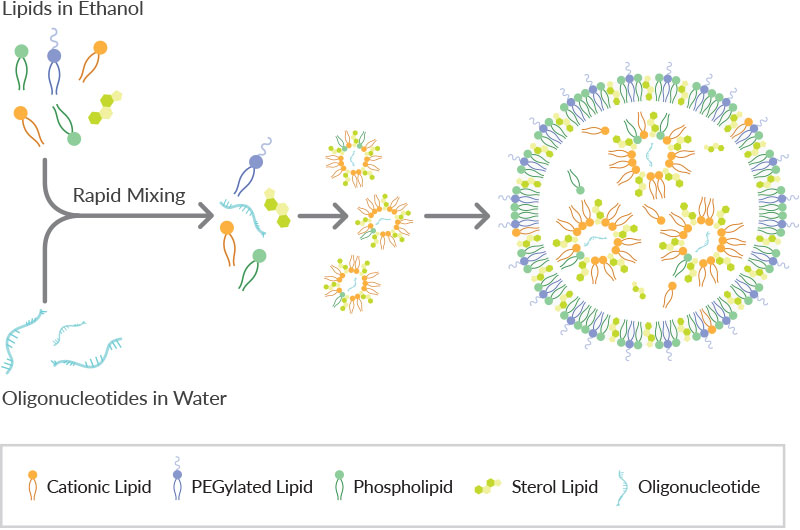 Drug Delivery Products :: Phospholipids and Lipids for LNP and