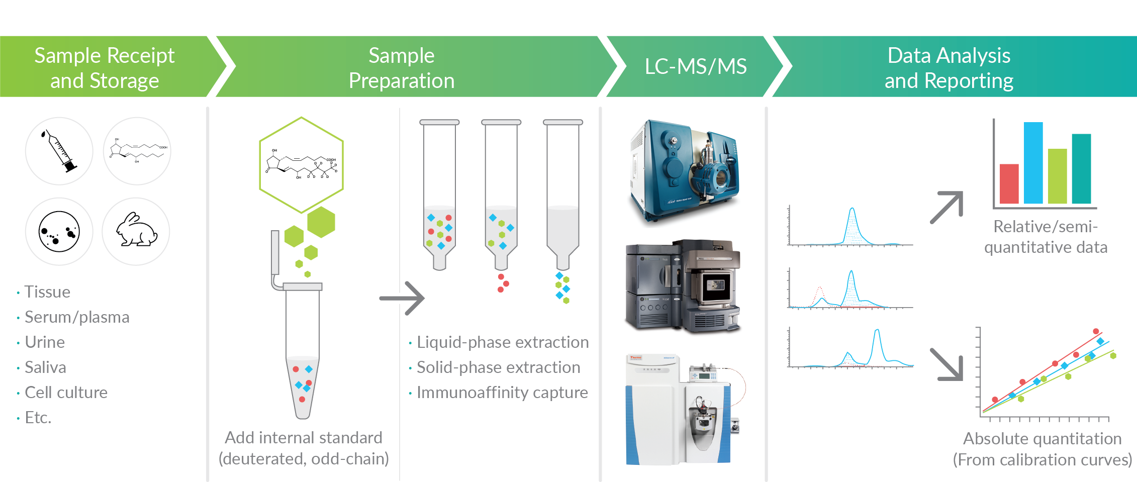 Lipid Services Lipidomics Workflow