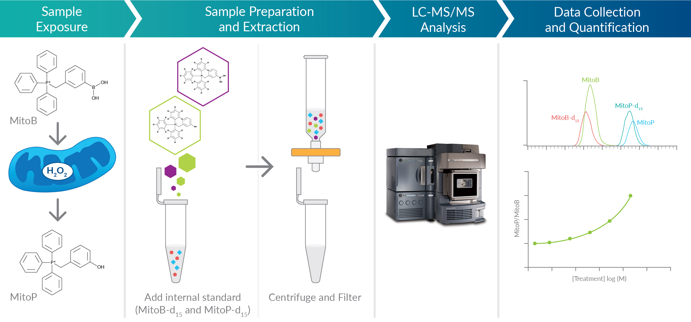 Measure Mitochondrial H2o2 Directly In Vivo Or In Cells News Announcements Cayman Chemical