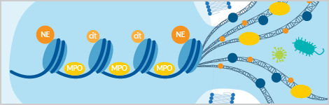 NET-Fragment-Assay-kit.png