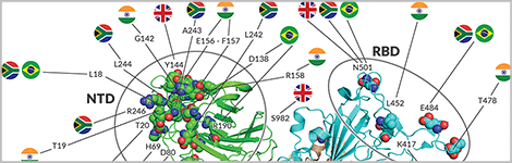 New-COVID-Variants-feature-470x150.png