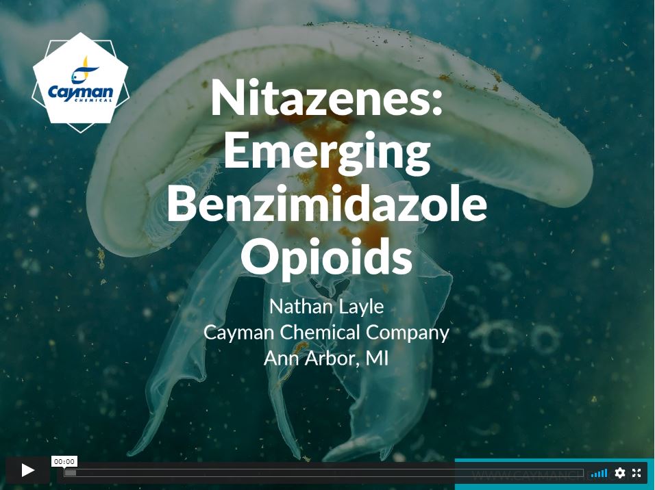 Nitazenes video.JPG