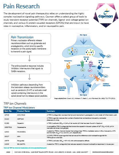 Pain Research Brochure