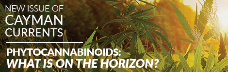 Phyto Current feature image 470x150.png