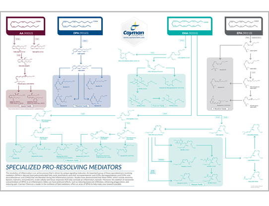 Specialized Pro-Resolving Mediators Poster
