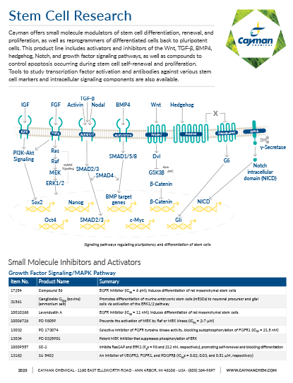 Stem Cell Research Brochure