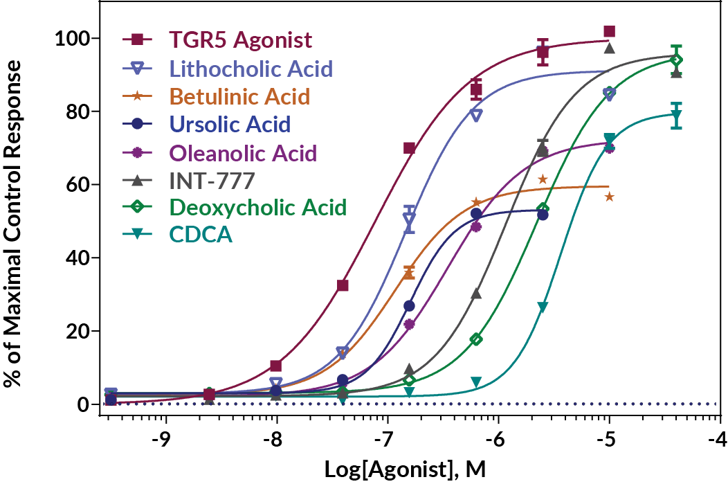 TGR5 (GP-BAR1) Reporter Assay Kit