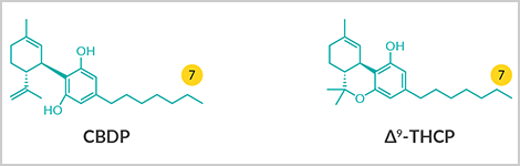 alkyl chain length_highlight.png