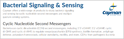 bacterial-signaling-highlight.png
