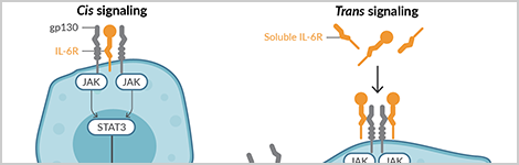 calming-cytokine-storm-highlight.png
