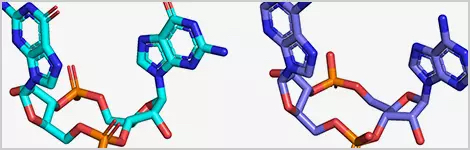 cdn-structure-models-highlight.png