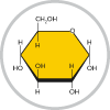 Carbohydrate Metabolism icon