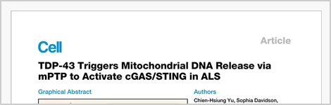 cgas-sting-activation-neurodegenerative-diseases-highlight.png