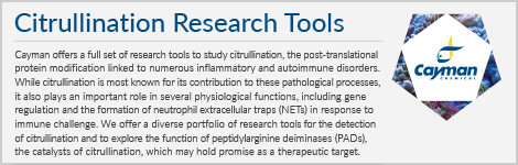 citrullination-resesarch-tools-highlight.png
