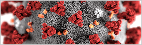 covid-19 therapeutics highlight image.png