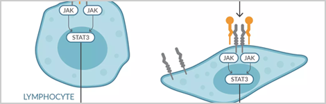 Calming The Cytokine Storm Through Kinase Inhibition