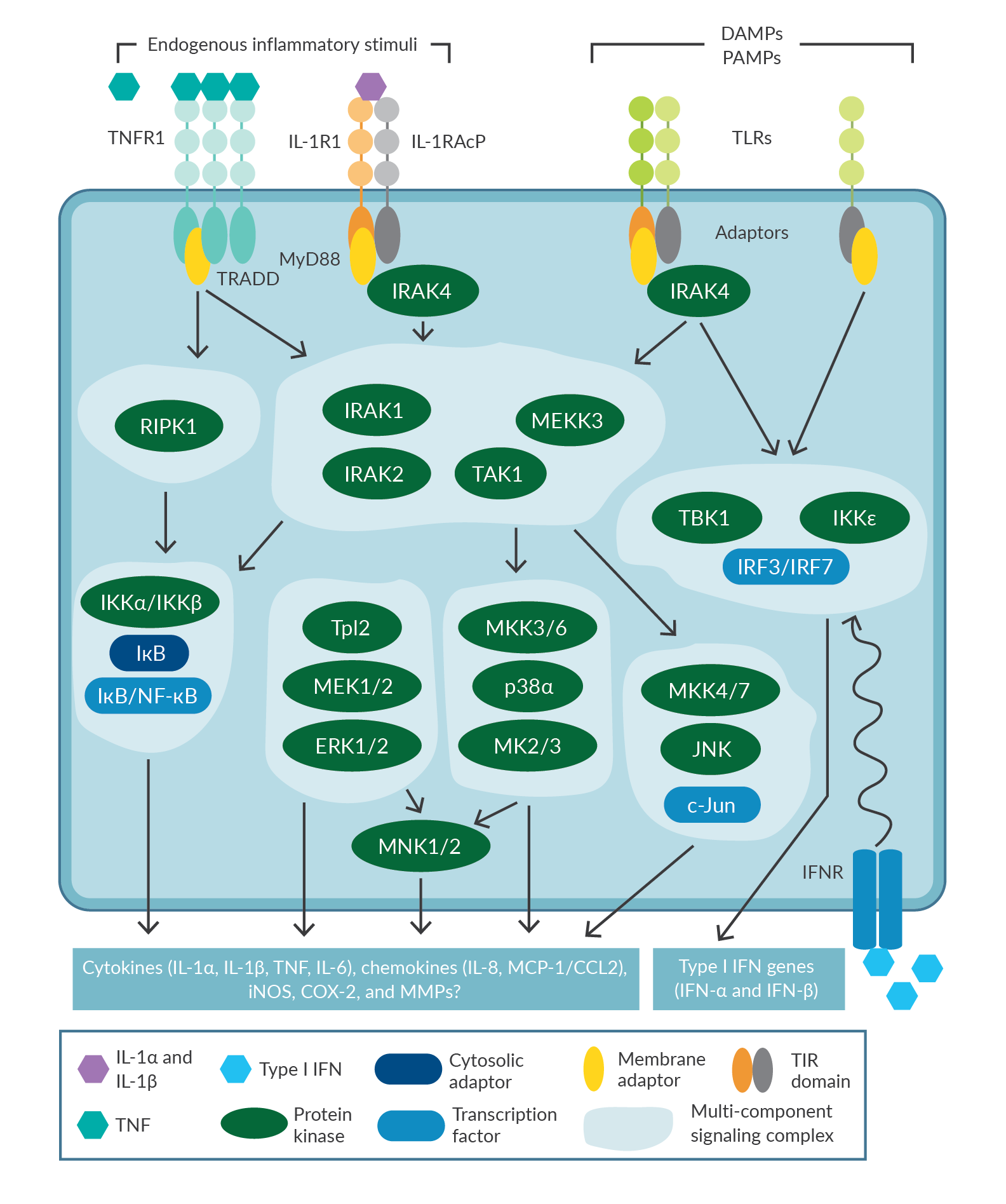 Calming the cytokine storm: Harnessing the power of stem cells to