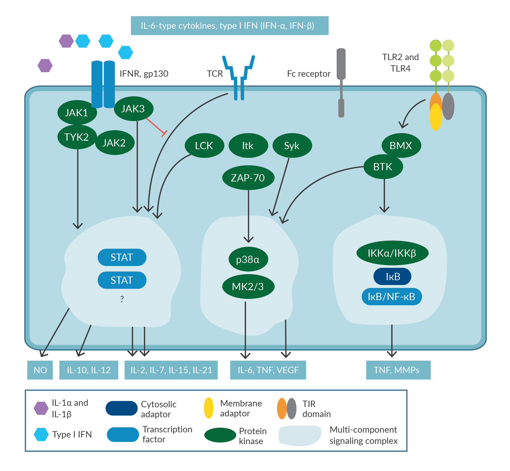 Calming the cytokine storm: Harnessing the power of stem cells to