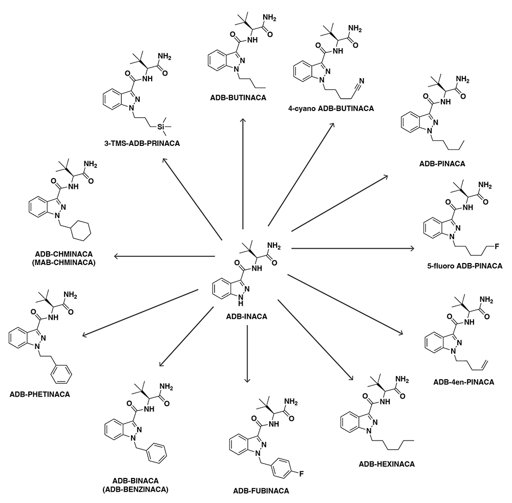 ADB-INACA is a precursor to several synthetic cannabinoids