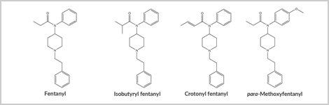 Evaluating Respiratory Depressant Effects of Fentanyl Opioids