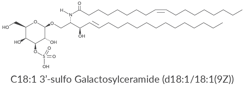 globosides_sulfatides_Figure 2.png