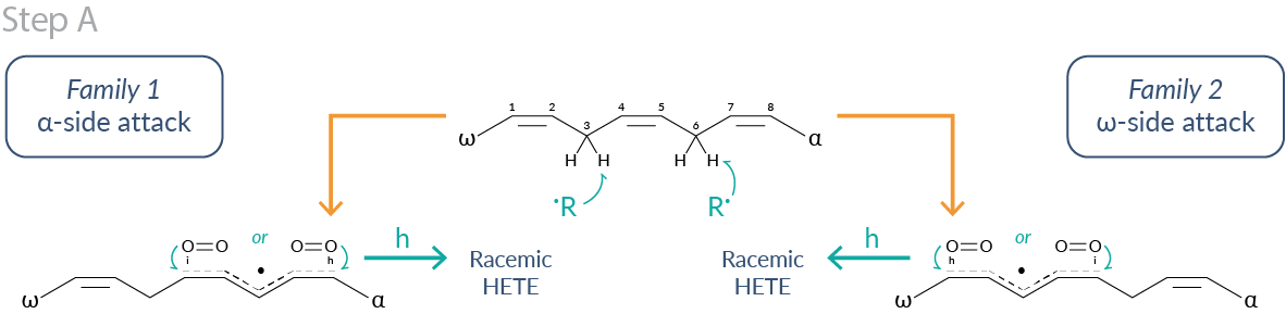isoprostane-figure-1.png