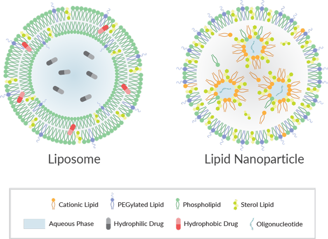 Drug Delivery Products :: Phospholipids and Lipids for LNP and