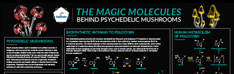 Research Tools for Psychoactive Mushroom Components & Their Metabolites