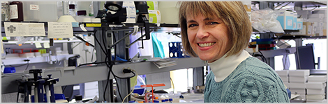 Meet the Expert: Biomarker Development