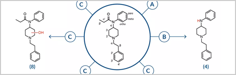 metabolism-of-the-new-fentanyl-derivatives-highlight.png