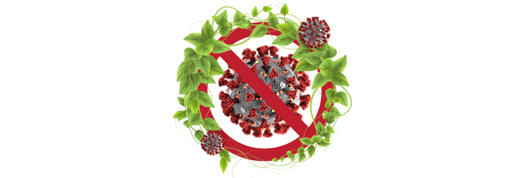 natural products for treating covid.jpg